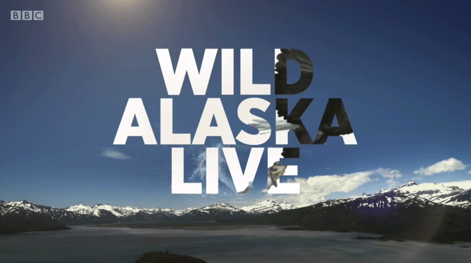 AlaskaLive
